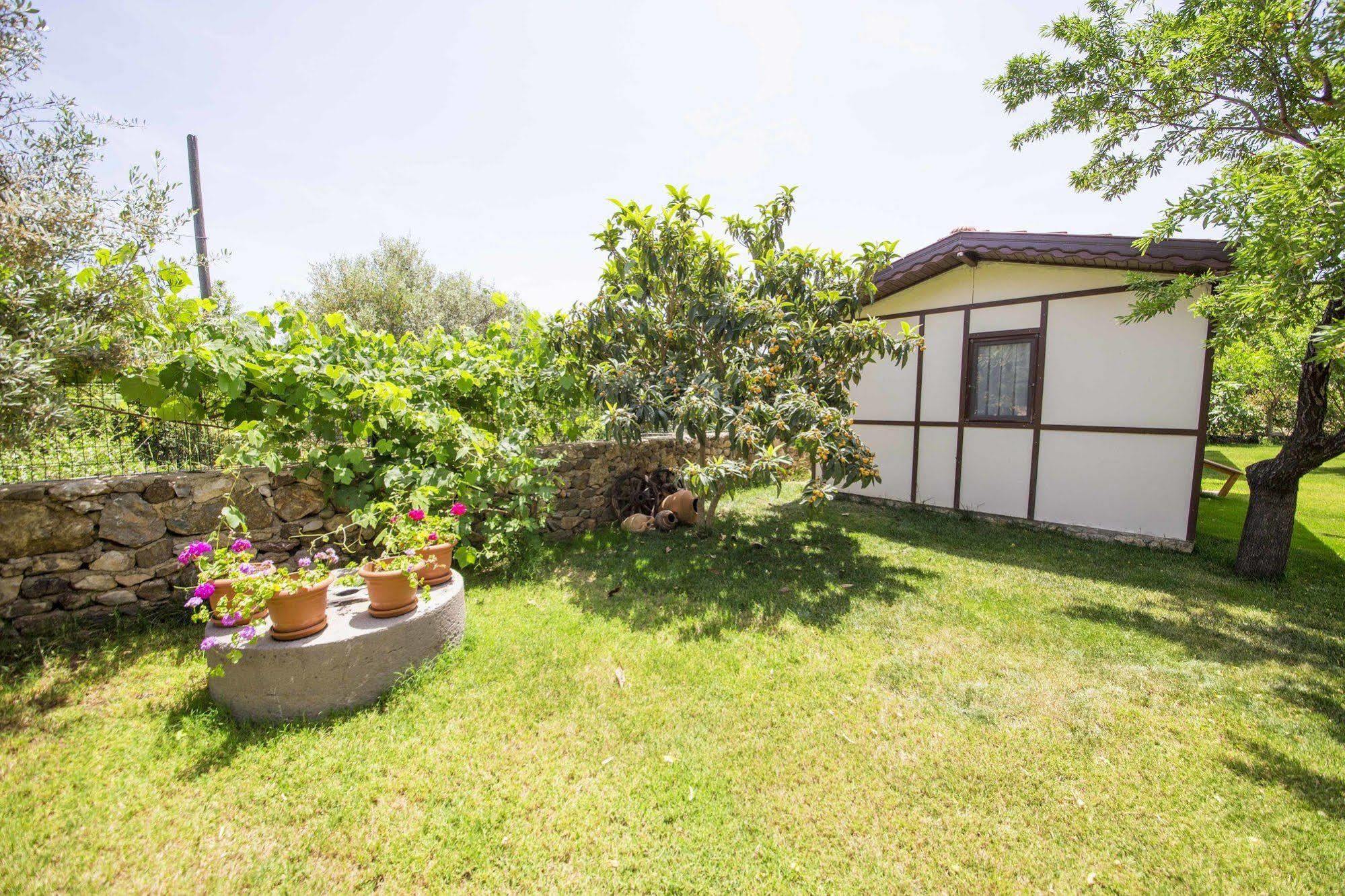 巴尔巴登姆住宿加早餐旅馆 达特恰 外观 照片